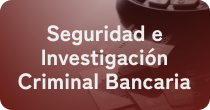 Seguridad e Investigación Criminal Bancaria